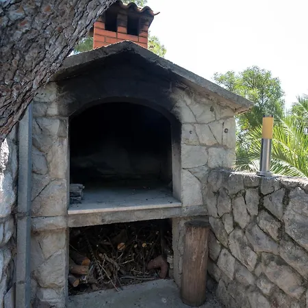 Beachfront Antonio Miro *